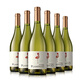 帕斯蒙火烈鳥(niǎo) 智利原瓶進(jìn)口白葡萄酒整箱 霞多麗/莎當妮干白一箱原裝6支*750ml