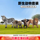 思樂(lè )（Schleich S）新年禮物仿真野生動(dòng)物模型套裝大象獅子斑馬猩猩狼北極熊兒童玩具 野生動(dòng)物盒裝42387