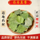 同仁堂中藥材干荷葉片可搭花草茶荷葉茶藕葉250g新茶葉泡茶 荷葉片 250g*1袋