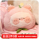 派客思抱枕被子兩用冬季泰迪絨沙發(fā)辦公室午睡神器汽車(chē)靠枕載枕頭二合一 桃子小豬 抱枕+毛毯1×1.7米