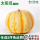 新鮮食用太陽(yáng)瓜黃金貝貝南瓜金桔瓜迷你小南瓜雕刻125g寶寶輔食 180g 180g