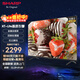 SHARP夏普50英寸 4K超高清全面屏 家用智能彩電 遠場(chǎng)語(yǔ)音 網(wǎng)絡(luò )wifi手機投屏2+32G液晶平板電視機 50英寸 2+32G內存