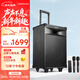 漫步者（EDIFIER）PW312 12英寸舞臺戶(hù)外移動(dòng)音箱 高保真音響廣場(chǎng)舞ktv露營(yíng)電木吉他民謠樂(lè )器音箱
