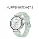 HUAWEI WATCH GT 5  氟橡膠表帶華為智能手表玄璣感知系統 41mm小表 湖光青