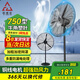 巨成云 工業(yè)風(fēng)扇搖頭電扇落地扇 大功率工廠(chǎng)風(fēng)扇 750mm落地扇（塑葉） 一臺價(jià)