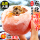 探味君 東北凍柿子 應當季時(shí)令新鮮水果磨盤(pán)柿子冰糖心軟甜冰柿子特產(chǎn) 凈重3.8-4斤 300-400g/只