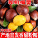 采緹北京懷柔生板栗新鮮油栗當季大板栗5斤新鮮時(shí)令蔬菜整箱 5斤 大果