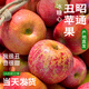 現摘現發(fā)當季云南昭通野生丑蘋(píng)果冰糖心大涼山蘋(píng)果水果 帶箱9.4-10斤80-85mm【彩箱＋泡沫托】