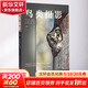 鳥(niǎo)類(lèi)攝影 中國攝影出版傳媒有限責任公司