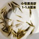 黑殼蝦除藻蝦活體寵物清潔水草蝦飼料工具蝦魚(yú)缸小草缸造景觀(guān)賞蝦 小號*30只送20備損（包活30）