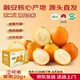 京覓廣西融安第二代脆皮金桔 滑皮金桔 彩盒3斤裝 單果20g+源頭直發(fā)