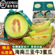 鑫果滋【順豐】海南三亞牛三蜜瓜 牛3網(wǎng)紋瓜冰激凌蜜瓜玫瓏靜岡送禮水果 9.5-10斤（4-5個(gè)） 順豐-禮盒裝