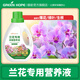 綠盼 蘭花營(yíng)養液500ML蘭科植物專(zhuān)用君子蝴蝶蘭寒蘭墨蘭春劍促進(jìn)開(kāi)花