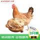 大用 三黃雞 凈重1.6斤*3只 冷凍 散養雞走地雞煲湯食材 清真食品