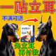 狗狗立耳貼豎耳神器杜賓德牧馬犬柯基幼犬大型犬小型犬折耳矯正 一盒裝【體驗裝】