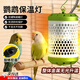 鸚鵡保溫燈取暖器加熱燈鳥(niǎo)籠保暖器幼鳥(niǎo)過(guò)冬用品玄鳳鸚鵡保溫暖燈 防燙燈罩+50W陶瓷燈1個(gè)