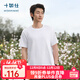 十如仕T恤男女款短袖純棉重磅吸濕排汗速干透氣 休閑春夏 T02 白色 M