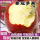 【30天活動(dòng)】陜西秦冠蘋(píng)果純甜一整箱粉面沙甜老人刮泥丑蘋(píng) 帶箱9-10斤【出口大果】