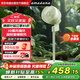 amadana艾曼達空氣循環(huán)扇非靜音電風(fēng)扇家用落地扇立式電扇直流變頻風(fēng)扇渦輪對流遙控大風(fēng)量換氣扇 C6