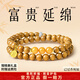 普陀山保真金絲楠木手串女款招財轉運黃水晶手鏈收藏佛珠文玩 【蜜蠟】金絲楠木-6mm雙圈 【富貴延綿】