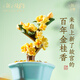 上新了文創(chuàng  ) 故宮香薰桂花盆景禮盒 擴香石持久發(fā)財居家擺件生日生日禮物