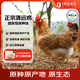 1號會(huì )員店（One's Member） 純種無(wú)抗清遠雞 生態(tài)散養168天供港土雞走地雞雞肉 900g