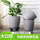 農寶北歐簡(jiǎn)約仿水泥花盆樹(shù)脂塑料 蛋形加厚耐用花盆控根輕奢 口徑35cm