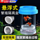 孔雀魚(yú)繁殖盒隔離盒漂浮魚(yú)缸隔離盒小魚(yú)苗孵化盒母魚(yú)產(chǎn)房孵化器 藍色【小號套裝】 【漂浮式繁殖隔離盒-高清透亮】