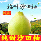 柚滿(mǎn)園【純甜不酸】梅州沙田柚子南福金柚正宗甜碌柚新鮮水果廣東梅縣 大果6-10個(gè)帶箱19-20斤