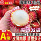 胖東來(lái)同款紅毛丹新鮮水果現摘新鮮毛荔枝亞熱帶當季樹(shù)熟現發(fā)  紅毛丹5斤 精選裝