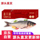 查干湖魚(yú)現貨【京東生鮮 年貨禮盒】冬捕有機胖頭魚(yú)5.5-6.4斤 年年有余