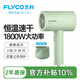 飛科電吹風(fēng)機家用速干便攜學(xué)生宿舍低噪音冷熱風(fēng)大功率吹風(fēng)筒負離子護發(fā)吹風(fēng)機圣誕禮物送女友老婆6276 非負離子款+恒溫健康柔風(fēng)【FH6296翡翠綠】