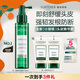 馥綠德雅（RENE FURTERER）小綠噴頭皮精華營(yíng)養液100ml強韌控油防斷發(fā)免洗護發(fā)噴霧法國進(jìn)口