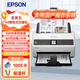 愛(ài)普生（EPSON）DS-730N A4饋紙式掃描儀自動(dòng)連續雙面彩色掃描 高速辦公用 有線(xiàn)網(wǎng)絡(luò ) 掃描生成OFD格式（上門(mén)安裝）