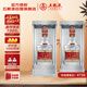 五糧液專(zhuān)賣(mài)店1995 30周年版濃香型白酒52度500ml*2雙瓶裝