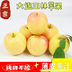 鮮姿 正宗大連王林蘋(píng)果青森麻臉美人貴妃禮盒黃蘋(píng)果生鮮孕婦新鮮水果 凈重4.5斤特大果(單果80+mm)