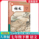 【新華書(shū)店正版】適用2026新版初中人教版七年級下冊全套7七年級下冊語(yǔ)文數學(xué)英語(yǔ)道法歷史地理生物全套7本課本教材人教版部編版教科書(shū)初一1下冊教材 【2026新改版】七年級下冊語(yǔ)文 七年級下