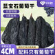 問(wèn)君【超大4cm】新疆吐魯番藍寶石葡萄干358g超大免洗即食提子干