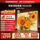 長(cháng)虹 65U7H Mini 65英寸壁畫(huà)電視XDR PRO2000nits 1680分區 6+64GB智能平板液晶電視一級能效 65英寸