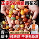 JCZS南京正宗天然雨花石原石小石子瑪瑙鵝卵石魚(yú)缸造景五彩石水培鋪面 【5A特級】1斤  拋光瑪瑙圓石子  1.5-2C