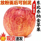 曠古農業(yè)遼寧營(yíng)口喬納金蘋(píng)果新鮮粉面刮泥蘋(píng)果香甜可口當季生鮮整箱 2.25kg 特大果7-10個(gè)