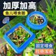 過(guò)凡（GUOFAN）魚(yú)缸喂食器喂魚(yú)神器孔雀魚(yú)漂浮喂食圈豐年蝦投食器魚(yú)食懸浮投喂器