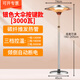 圣帕（SEPAT） 傘形取暖器戶(hù)外商用大面積全屋電熱神器冬天電暖氣室內外暖風(fēng)機家用烤火爐 銀色升降大傘3000瓦【按鍵3檔】