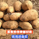 桃西村黃皮黃心黃壤紅薯地瓜狼牙山紅薯易縣白薯番薯蜜薯紫薯 中大果  5斤