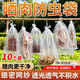 鍋仙燉曬臘肉防蠅網(wǎng)袋尼龍網(wǎng)防蟲(chóng)紗網(wǎng)臘腸鴨干巴火腿加厚晾曬神器袋子 臘肉網(wǎng)袋【10個(gè)裝】30*40cm