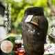 會(huì )稽山1998-2023年15.5度23升手工原酒半干不甜加飯花雕黃酒京東物流 2007年手工原酒 23L 1壇 可收藏 京東物流送到家
