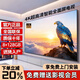 康徍系【免費安裝】超高清4K新品液晶電.視機臥室家用智能網(wǎng)絡(luò )無(wú)線(xiàn)WiF語(yǔ)音投屏客臥平板會(huì )議監控顯示器 100英寸 8+256G大內存高刷旗艦pro