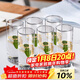 青蘋(píng)果耐熱水杯290ml6只 無(wú)鉛玻璃杯牛奶杯啤酒杯綠茶杯多功能杯套裝