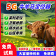 幀匠5G牛羊定位器北斗防水GPS追跟蹤馬放牧牲畜遠程追蹤器J訂位儀山區 牛專(zhuān)用3.5萬(wàn)太陽(yáng)能版【定位準+續航久+不離線(xiàn)】