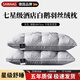 颯望【德國】希爾頓羽絲絨枕頭護頸枕頸椎病深度睡眠專(zhuān)用酒店五星級 紳士灰【48*74cm中枕】柔軟蓬松 細膩親膚 A類(lèi) 單只 至臻品質(zhì)【全網(wǎng)熱銷(xiāo)100W+】皇家護頸深睡枕